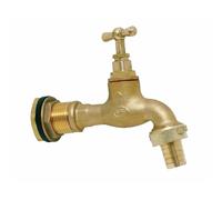 Robinet d'arrosage pour per - applique intégrée à visser WATTS