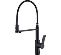 Robinet de Cuisine à Osmose Inverse à 3 Voies Noir, mitigeur de Cuisine extractible avec Bec Flexible, mitigeur 3 en 1, Filtre à Eau, Robinet de Cuisine Rotatif à 360°