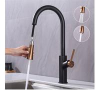 Robinet de Cuisine avec Douchette Extractible Mitigeur Cuisine Rétractable avec 2 Modes Robinet d'Évier Haute Pression avec Bec