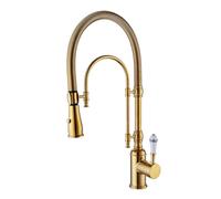 Robinet de Cuisine avec Ressort Mode Double Pivotant à 360 ° Eau Froide et Chaude Laiton Mitigeur Cuisine Flexible Douchette Poignée Unique-Or