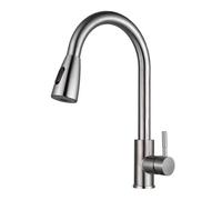 Robinet De Cuisine En Acier Inoxydable Avec Douchette Extractible, Mélangeur D'Eau Chaude Et Froide, Idéal Pour Le Lavage Des Légumes Et Le Nettoyage De L'Évier（One Color-Silver）
