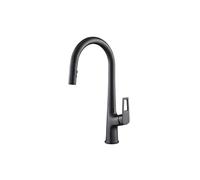 Avizar Robinet de Cuisine Extensible à Double Fonction Bec Haut Noir