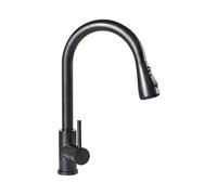Robinet de Cuisine Moderne en Acier Inoxydable à Tirette Bec Pivotant Noir