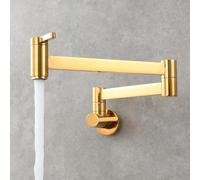 Robinet de Cuisine Murale Eau Froide Rabattable Doubles Commutateurs Laiton-Or