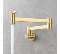 Robinet de Cuisine Murale Eau Froide Rabattable Doubles Commutateurs Laiton-Or Brossé
