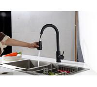 Robinet de cuisine - Noir mat - Economies d'eau, acier inoxydable robuste, rallonge