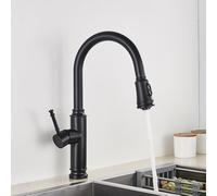 Robinet de cuisine noir mat Sortez des modèles à double eau Beauty Comes