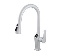 Robinet d'évier à affichage numérique intelligent avec double contrôle chaud et froid, robinet de cuisine rotatif universel pour usage domestique (argent)