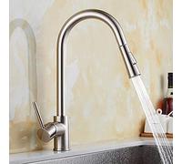 Robinet d'évier de cuisine à poignée unique pivotant à 360 °, compatible avec double extractible, robinet de rinçage en laiton argenté, robinet Basinxer, robinets d'eau chaude et froide