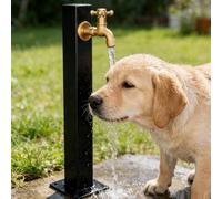 Robinet d'extérieur antigel en Acier Inoxydable 304 avec Colonne d'eau, Fontaine et Robinet de Jardin autoportant pour l'irrigation et Le Lavage (Style 3, Hauteur : 80 cm/31,5 po)