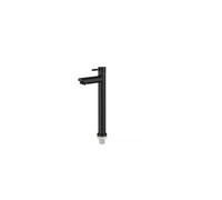Robinet Lavabo Eau Froide, Haut 30cm, Acier Inoxydable Brossé, Flexible de 60 cm inclus, Style Moderne, Lave main, lavabo WC, Uniquement Eau Froide (Noir)