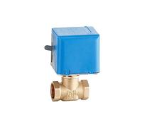 Robinets à soupape électriques motorisés en laiton 3/4" 2 fils CA 220 V voies(110v)