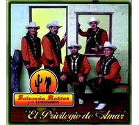 Robles, Salomon - El Privilegio De Amari