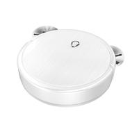Robot aspirateur - Robot aspirateur | Nettoyage intelligent des sols multifonctionnel avec évasion d'obstacles et réduction du bruit | fin, silencieux pour tapis
