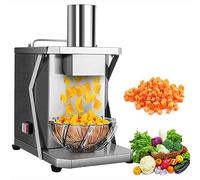 Robot culinaire professionnel 200 W, trancheuse électrique fruits et légumes, 200 tr/min, acier inoxydable, lames détachables carottes, radis, concombres et pitayas (12 mm).