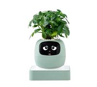 Robot de - Pot avec Guide d'IA pour l'entretien des et des Animaux de Compagnie | Pot pour succulentes, pour intérieur, Maison, Salon, Chambre, Balcon, Patio, débutants