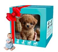 Robot Dog for Kids 2025, Mon Chiot Robot Réaliste Qui Agit comme Un Vrai Chiot pour Marcher, Aboyer, Jouet Créatif Animal en Peluche B