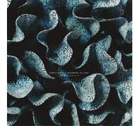 Robot Koch & Savannah Jo Lack – Otherwhere – Vinyle (Edel)
