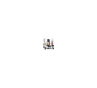 Robot multifonction - FIMEI - Compact 12 en 1 - Bol 3.5L - 1300W - Noir/Inox