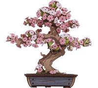 RoboTime 3D puzzle en bois Bonsai sakura