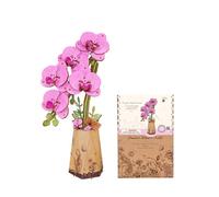 ROBOTIME Orchidée Papillon Pourpre Puzzle 3D en Bois, Kit De Modèle De Fleur Artificielle pour Adultes, Construction De Décoration Créative pour La Maison, Cadeaux De Saint-Valentin pour Femmes