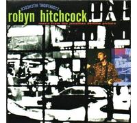Robyn Hitchcock - Storefront Hitchcock