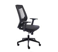 Rocada | Chaise de Bureau Ergonomique avec réglage Lombaire | Chaise de Bureau pour Ordinateur Confortable et pivotante, Noir