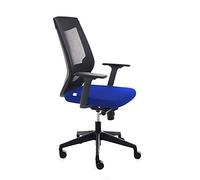 Rocada | Fauteuil de Bureau Ergonomique avec réglage Lombaire | Chaise de Bureau pour Ordinateur, Confortable et pivotante, Bleu et Noir