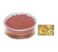 Rocailles 2mm avec garniture argent - Or Argent G