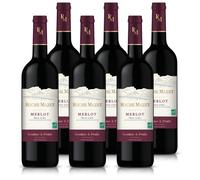 Roche Mazet - Merlot - Vin Rouge - IGP Pays d’Oc - Terra Vitis - Lot de 6 bouteilles x 75 cl