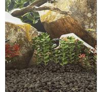 vidaXL Roches Volcaniques, Pierres de Lave sous-Marine, Roches de Lave d'Aquarium, Décorations d'Aquarium Jardin Exterieur, 10 kg Noir 5-8 cm