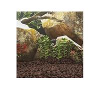 Roches Volcaniques, Pierres de Lave sous-Marine, Roches de Lave d'Aquarium, Décorations d'Aquarium Jardin Exterieur, 10 kg Rouge 5-8 cm 155315
