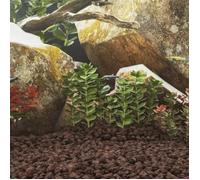 Roches volcaniques - VIDAXL - 25 kg - Rouge - 5-8 cm