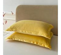 ROCILA Housse de Coussin de Couleur Unie en Velours, taie d'oreiller, Housse de Coussin rectangulaire, 48 x 74 cm, 2 pièces, taies d'oreiller Chaudes