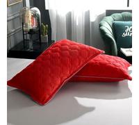 ROCILA Taie d'oreiller en Velours Cristal d'hiver en Flanelle épaisse et Chaude en Velours Corail, taie d'oreiller de Couleur Unie, Housse de Coussin de literie 48 cm x 74 cm