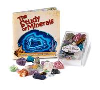 Rock Box - Collection unique de minéraux authentiques avec livret éducatif d'étude des minéraux