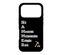 Rock Collector Geologist Tools Stone Hound Hammer Acronyme Coque pour iPhone 17 Pro