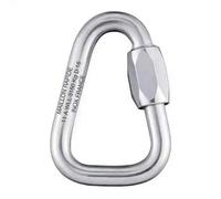 Rock Empire Mousqueton Maillon Delta Zinc