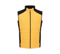 Rock Experience Lancelot 2.0 Hybrid Vest Sports vest Homme (lot de 1)