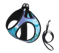 Rock Stars Flash,Harnais pour Animaux de Compagnie, Harnais réfléchissant réglable pour Chien,S