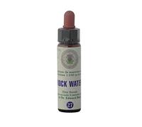 Rock Water n° 27 Fleur de Bach farmaflor, 1 Flacon Comtpe Gouttes 10ml - Made in Italy