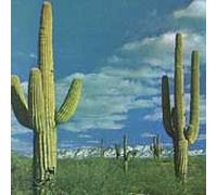 Rocket From The Crypt - State of the Art Is on Fire / Plays Music Machine by Rocket From the Crypt (1996-11-12)