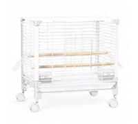 rockible Cage à Oiseaux Volière Perroquet Perruche Structure en Fil Rectangulaire Stable Plateau Tiroir Peu Profond Roue Pivotante Fluide Ouvertures Latérales, Array, Blanc, Petit