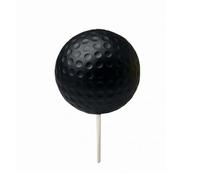 rockible Marqueur de Départ de Golf Repère de Position de Départ Sphère Ronde Surface Structurée Ancrage au Sol avec Tige en et Acier Inoxydable Adapté aux Parcours Entraînement Écoles, Noir