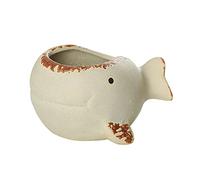 rockible Succulente Ornement Titulaire Forme pour Cadeau Bureau Décor Étagère, Blanche