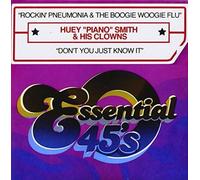 Rockin' Pneumonia & The Boogie Woogie Flu