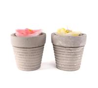 ROCKING GIFTS Lot de 2 bougies en fleur dans un pot en ciment, 2 modèles rose et jaune, 9 cm