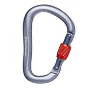 Rocklock Screwgate Gray - Mousqueton Secu Asym | Black Diamond