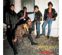 Rock'n'roll Junky [Import allemand]