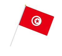 Rockreyoa Mini drapeaux à la main Drapeau du Monde Stick Drapeaux Main Mini Drapeau national pour défilés, compétitions sportives, fêtes internationales, drapeaux du monde Tunisie